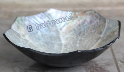 Bowl, Made From Shell With Resin