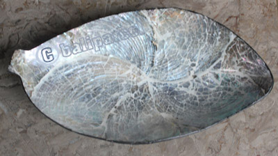 Bowl, Made From Shell With Resin
