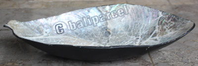 Bowl, Made From Shell With Resin
