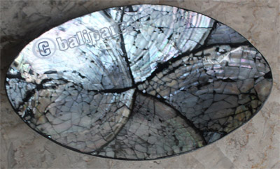 Plate, Made Form Shell With Resin