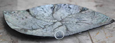 Plate, Made Form Shell With Resin