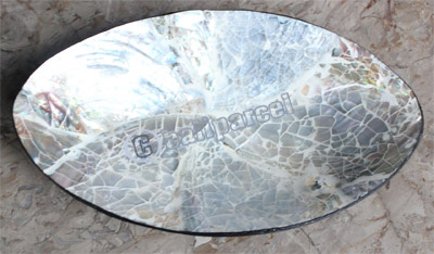 Plate, Made Form Shell With Resin