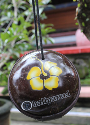 Coconut Shell Bag