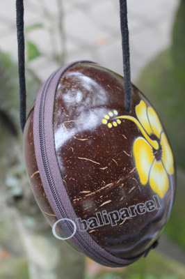 Coconut Shell Bag
