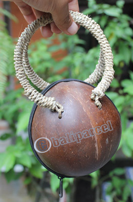 Coconut Shell Bag