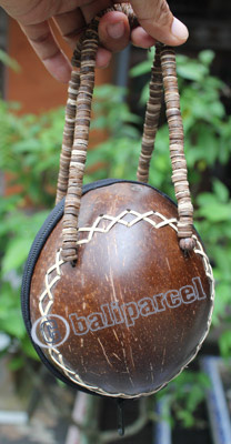 Coconut Shell Bag
