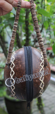 Coconut Shell Bag