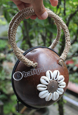 Coconut Shell Bag