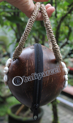 Coconut Shell Bag