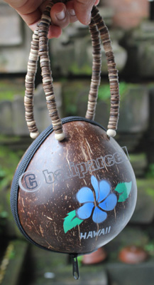 Coconut Shell Bag