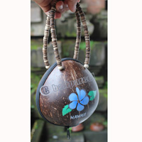 Coconut Shell Bag