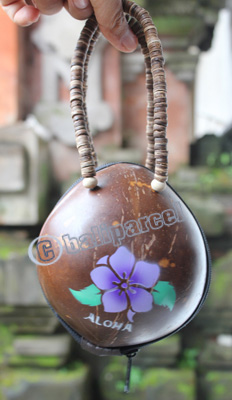 Coconut Shell Bag