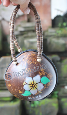 Coconut Shell Bag
