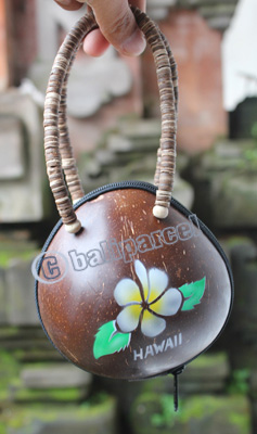 Coconut Shell Bag