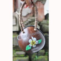 Coconut Shell Bag