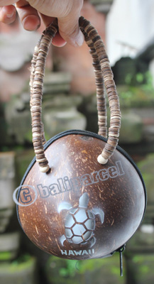 Coconut Shell Bag
