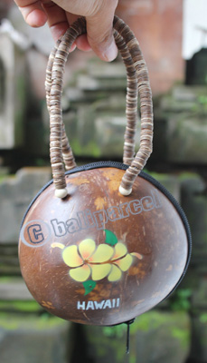 Coconut Shell Bag