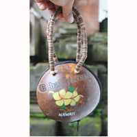 Coconut Shell Bag
