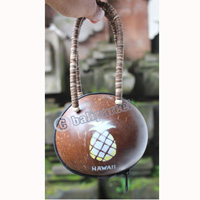 Coconut Shell Bag