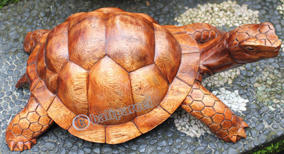 Wooden Tortoise, Hand Carved From Suar Wood