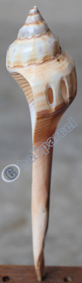 Hair Stick, Made From Shell 
