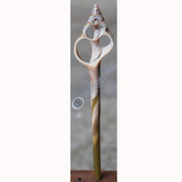 Hair Stick, Made From Shell 
