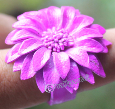 Ring, Made From Leather