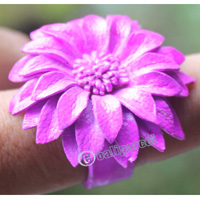 Ring, Made From Leather