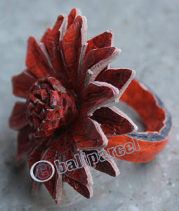 Ring, Made From Snake Skin