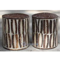 Salt And Pepper Shaker, Handmade From Resin Inlaid With Coconut Shell
