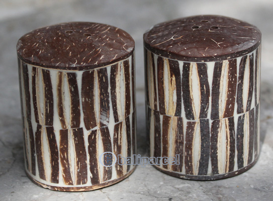 Salt And Pepper Shaker, Handmade From Resin Inlaid With Coconut Shell