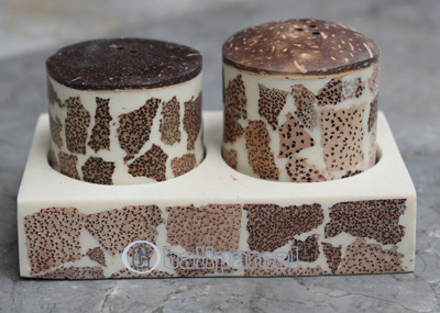 Salt And Pepper Shaker, Handmade From Resin Inlaid With Coconut Wood