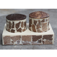 Salt And Pepper Shaker, Handmade From Resin Inlaid With Coconut Wood