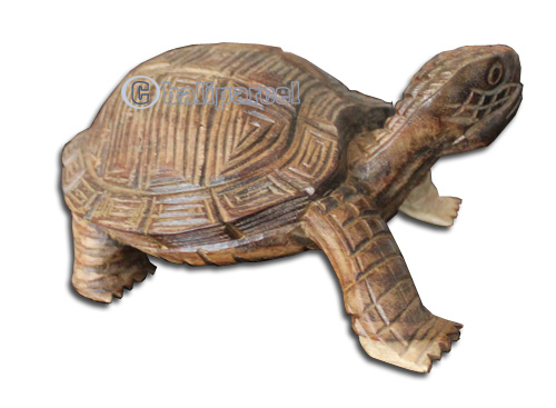 Wooden Turtle, Hand Carved From Sono Wood 