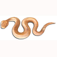 Wooden Snake, Hand Carved From Suar Wood With Natural Polished