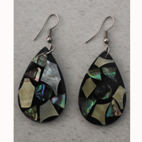 Earring Shell With Resin