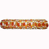 One Tub Bracelet 50 Pcs, 1 Pcs $ 0.18