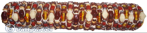 One Tub Bracelet 50 Pcs, 1 Pcs $ 0.18