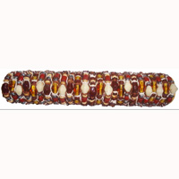 One Tub Bracelet 50 Pcs, 1 Pcs $ 0.18