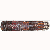 One Tub Bracelet 25 Pcs, 1 Pcs $ 0.18