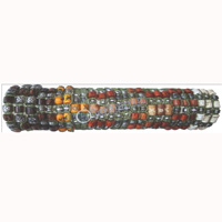 One Tub Bracelet 25 Pcs, 1 Pcs $ 0.18