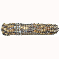 One Tub Bracelet 25 Pcs, 1 Pcs $ 0.18