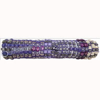 One Tub Bracelet 25 Pcs, 1 Pcs $ 0.18