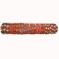 One Tub Bracelet 25 Pcs, 1 Pcs $ 0.18