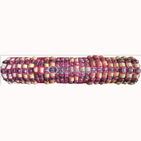 One Tub Bracelet 25 Pcs, 1 Pcs $ 0.18