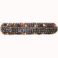 One Tub Bracelet 25 Pcs, 1 Pcs $ 0.24