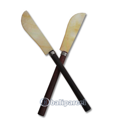 Wooden Knife With Shell, Hand Carved From Sono Wood