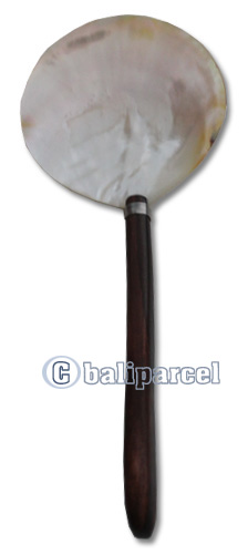 Wooden Spoon With Shell, Hand Carved From Sono Wood