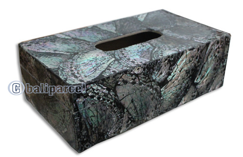 Tissue Holder, Handmade From Shell With Resin