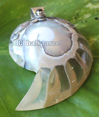 Pendant With Shell And Silver